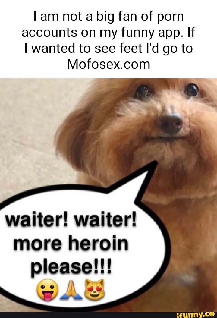 Am not a big fan of porn accounts on my funny app. If I wanted to see feet  I'd go to Mofosex.com waiter! waiter! more heroin please!!! - iFunny