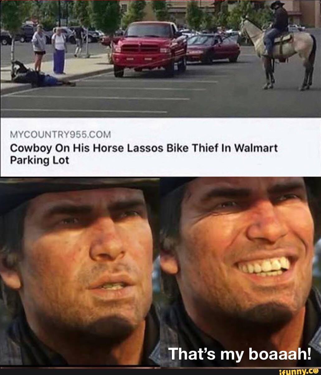 Cowboy On His Horse Lassos Bike Thief In Walmart Parking Lot That's my ...