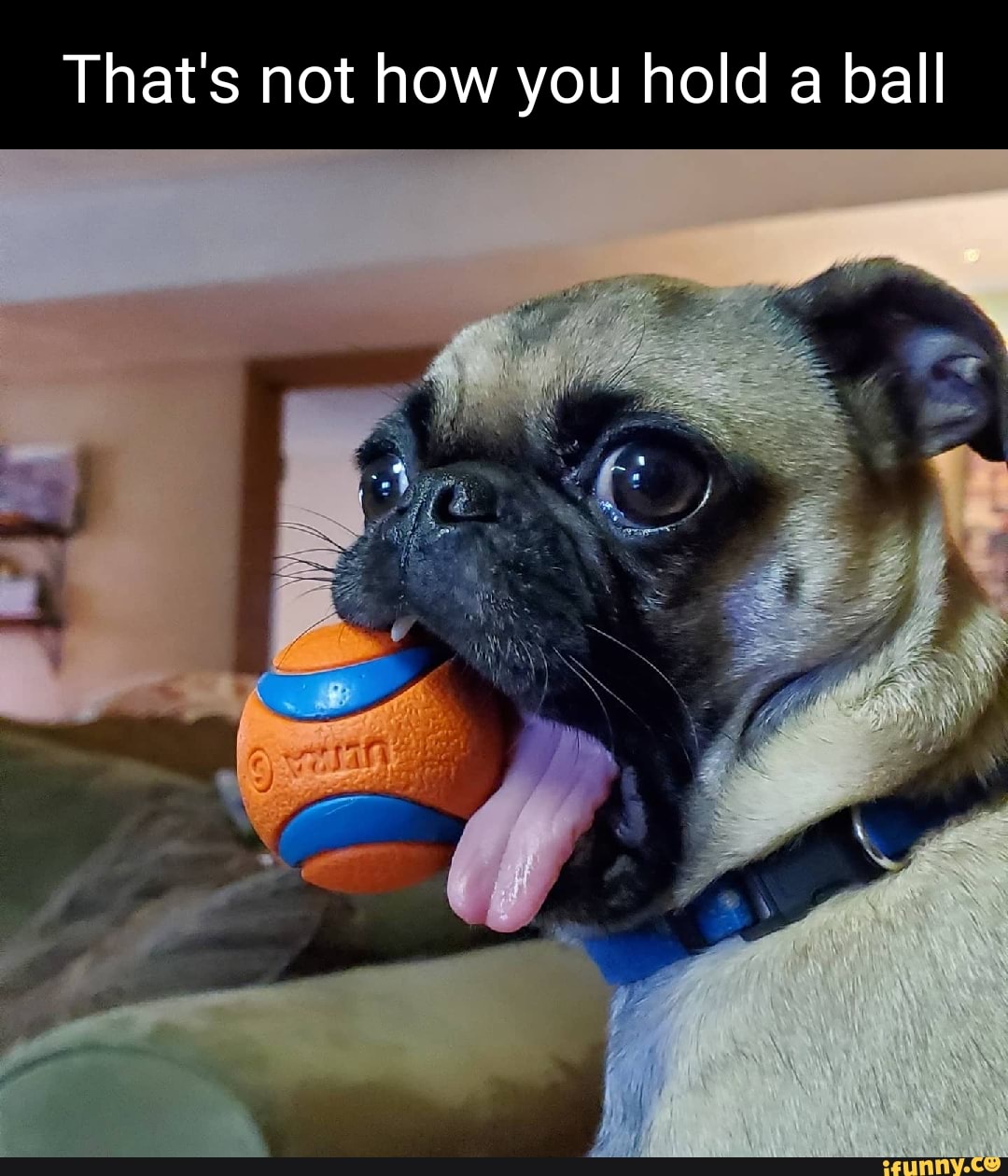 That's not how you hold a ball