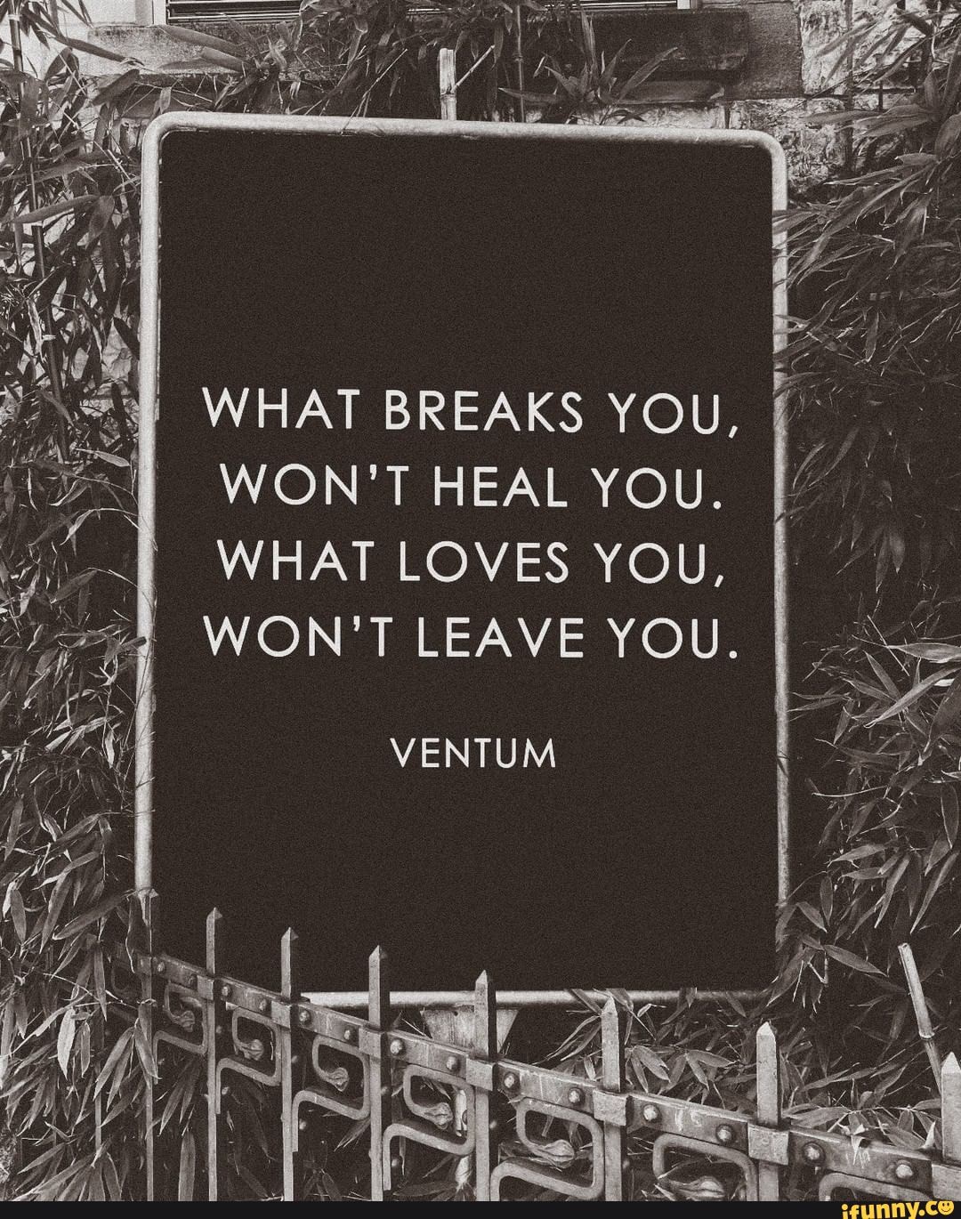 What Breaks You Won T Heal You What Loves You Won T Leave You