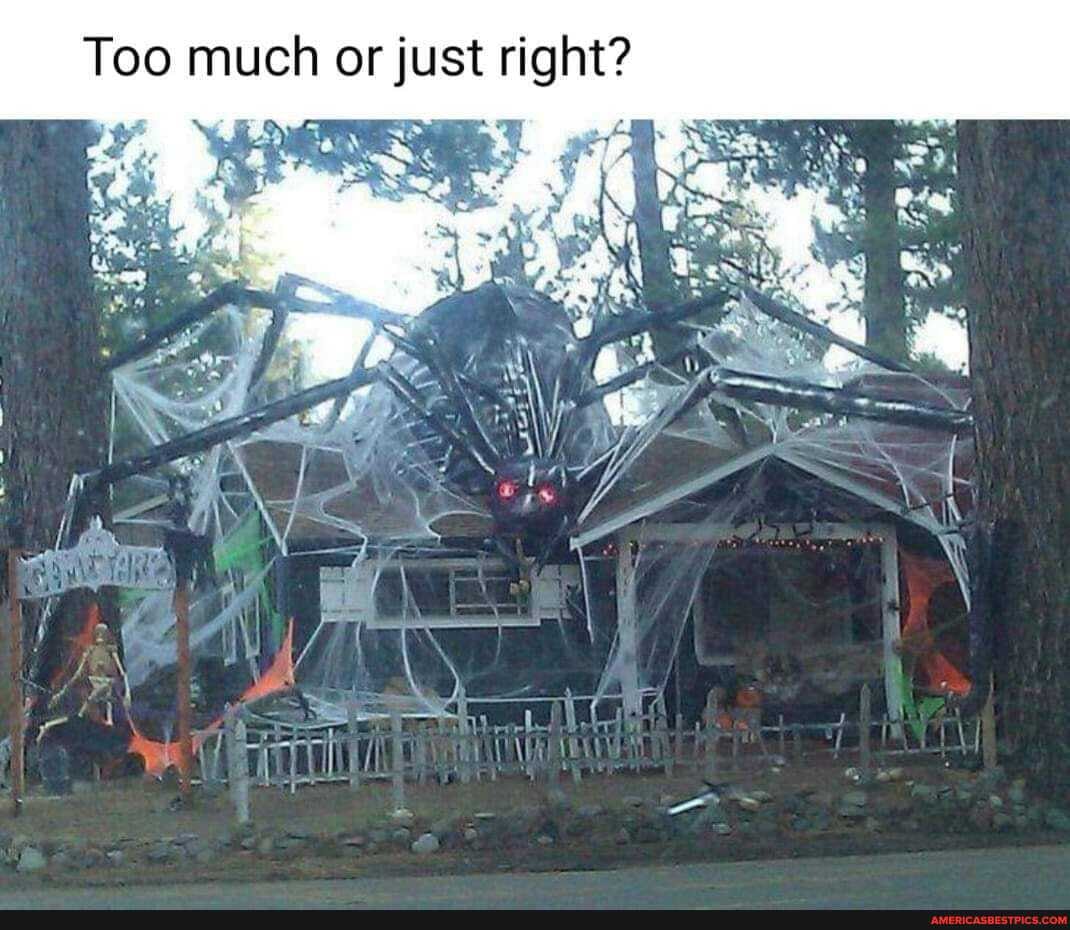 Too much or just right?