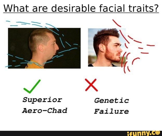 what-are-desirable-facial-traits-superior-genetic-aero-chad-failure