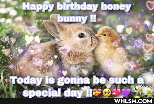 Happy birthday honey
bunny
Today is is gonna be such a