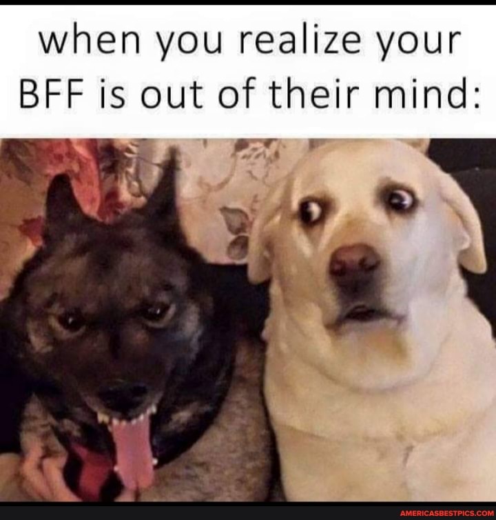 when you realize your
BFF is out of their mind:
