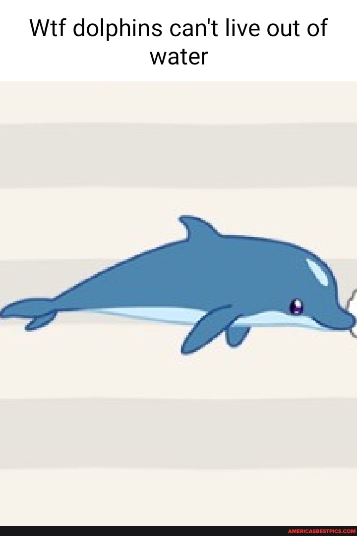 Wit dolphins can't live out of water