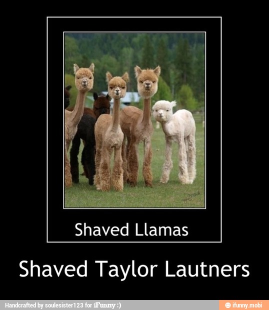 Shaved Llamas
Shaved Taylor Lautners - Shaved Taylor Lautners