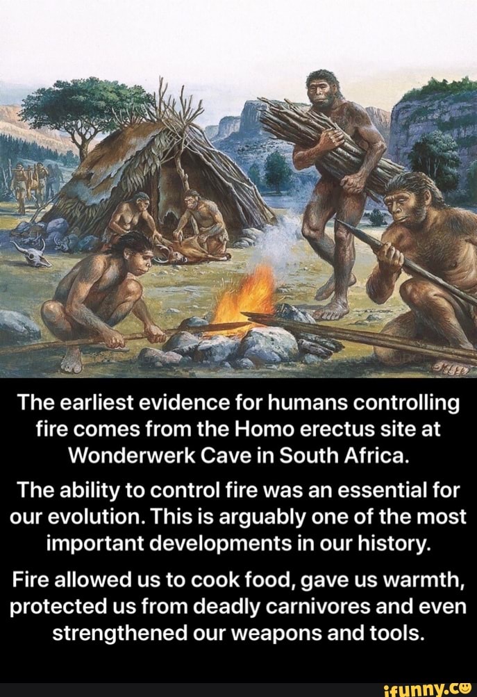 The earliest evidence for humans controlling fire comes from the Homo