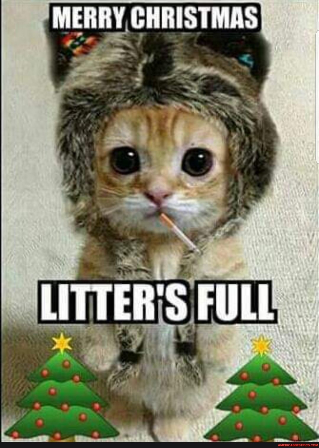 MERBY CHRISTMAS
LITTER'S FULL