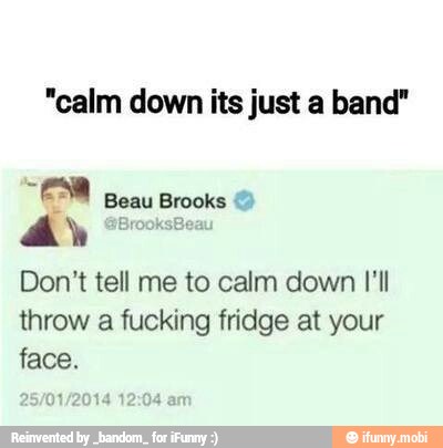 "calm down its just a band"
Beau hee
Don't tell me to calm down [ll
throw a fucking fridge at your
face.