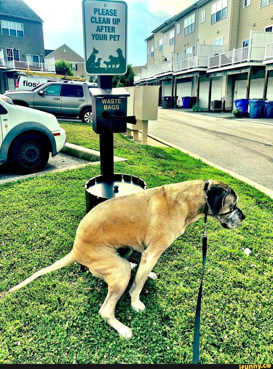 PLEASE CLEAN UP AFTER YOUR PET
