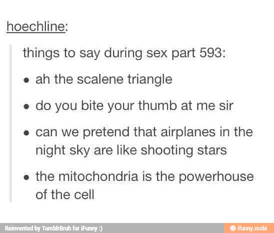 hoechline:
things to say during sex part 593:
e
ah the scalene triangle
e
do you bite your thumb at me sir
e can we pretend that airplanes in the
night sky are like shooting stars
e
the mitochondria is the powerhouse
of the cell