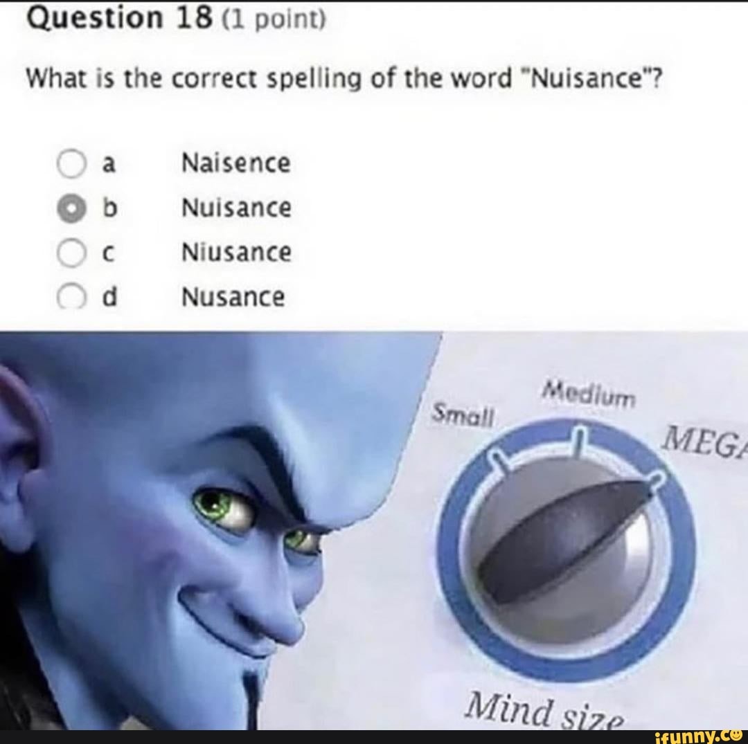 question-18-1-point-what-is-the-correct-spelling-of-the-word-nuisance-naisence-bb-nuisance