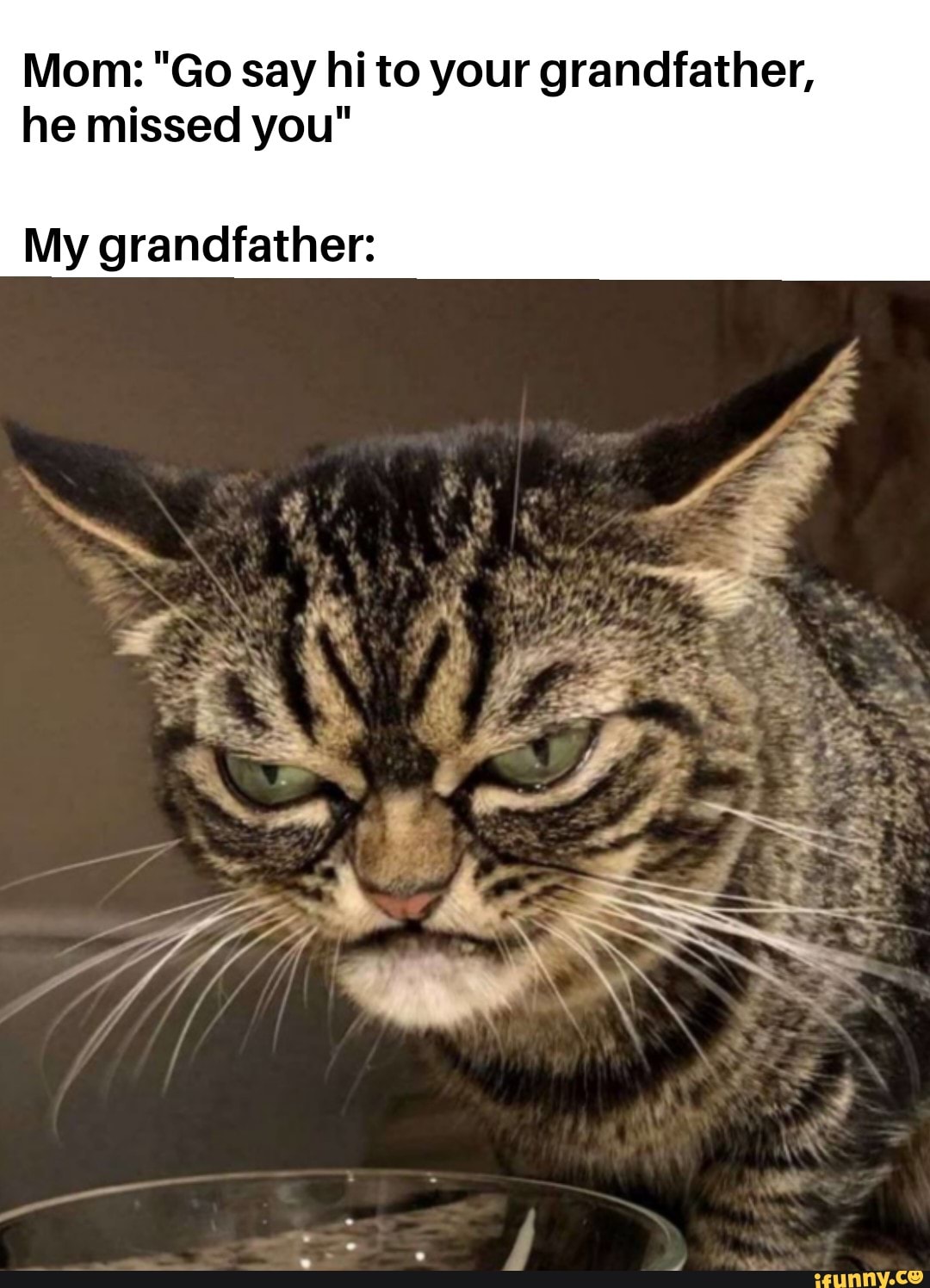 Mom: "Go say hi to your grandfather,
he missed you"
My grandfather: