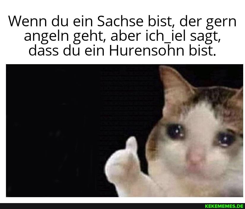 Wenn du ein Sachse bist, der gern angeln geht, aber ich_iel sagt, dass du ein Hurensohn bist.