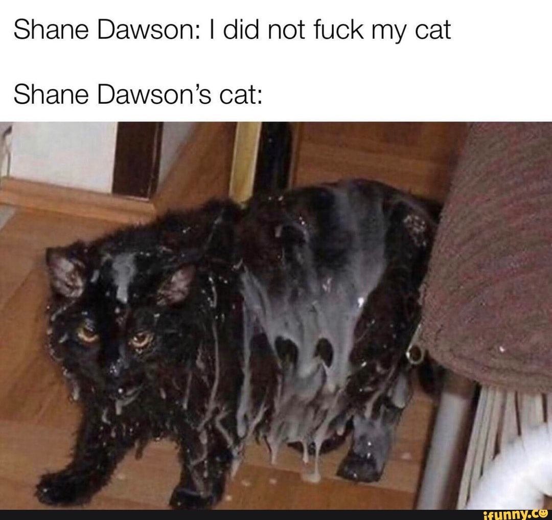 Shane Dawson: I did not fuck my cat
Shane Dawson's cat: