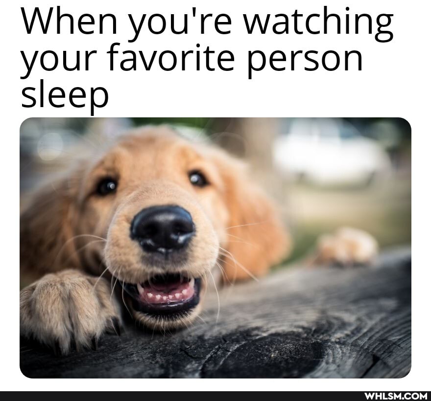 When you're watching your favorite person
Sleep