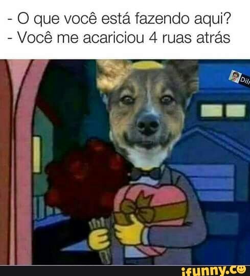 O que você está fazendo aqui?
Você me acariciou 4 ruas atrás