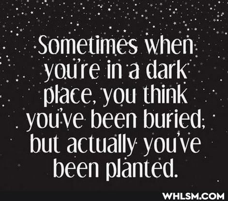 Sometimes when:
-youre ina dark
place, you think youve been buried:
but actually you Vie-
been planted.