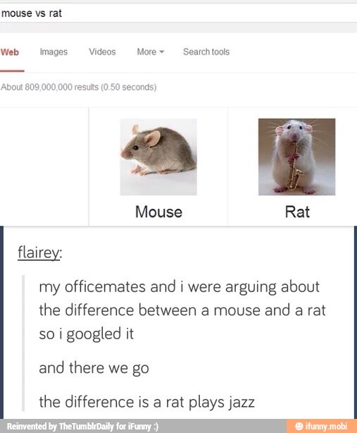 flairey:
my officemates and i were arguing about
the difference between a mouse
and a rat
so i googled it
and there we go
the difference is a rat plays jazz