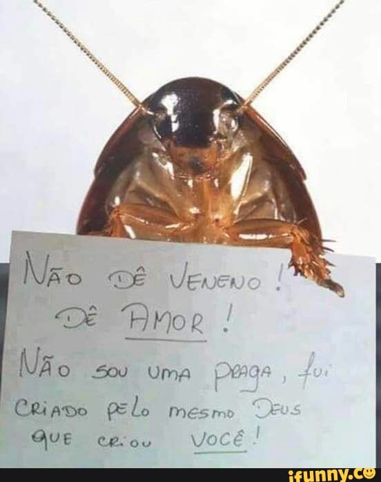 prosa
Não VEvevc
Mão o uma pogs
POriado gelo mesmo
QuE Você