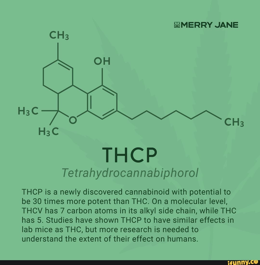 MERRY JANE OH THCP Is A Newly Discovered Cannabinoid With Potential To ...