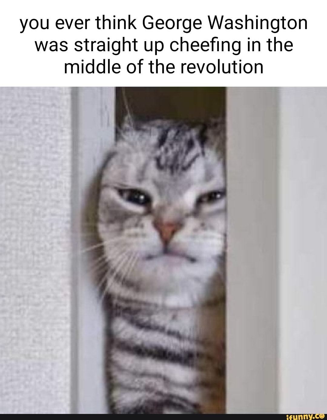 You ever think George Washington was Straight up cheefing in the middle ...