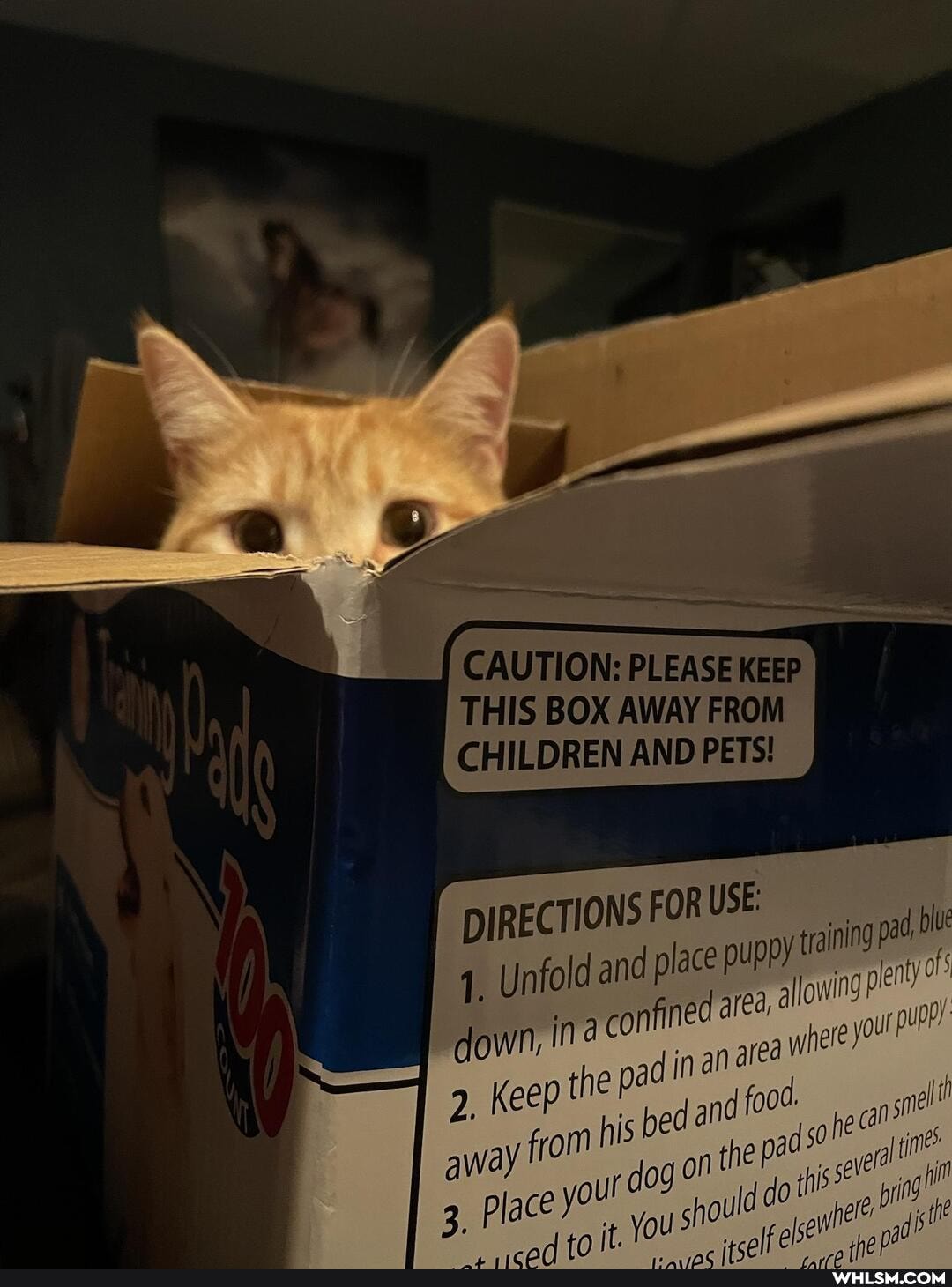 : PLEASE THIS BOX AWAY FROM CHILDREN AND PETS!
DIRECTIONS FOR USE:
1, Unfold and place P down, nina Keep nfined hep are ye
2, Keep t hep ye yout dog sol im
it
dog 0"
3, Place your hou