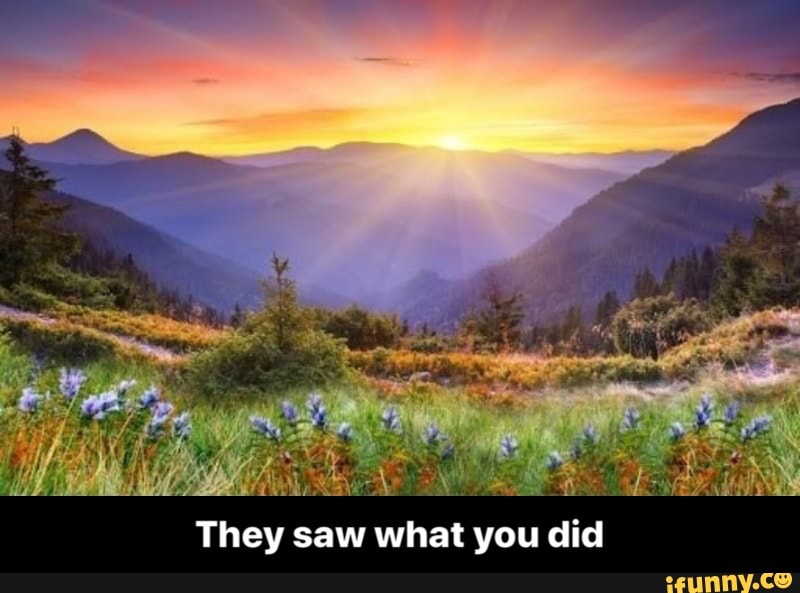 They saw what you did - They saw what you did