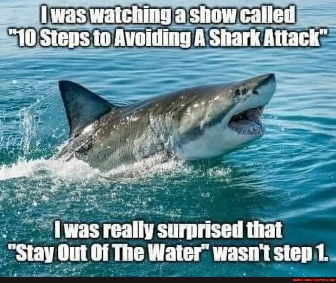 To Avoiding: shark Attack was teally surprised that 