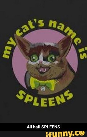 All hail SPLEENS - All hail SPLEENS