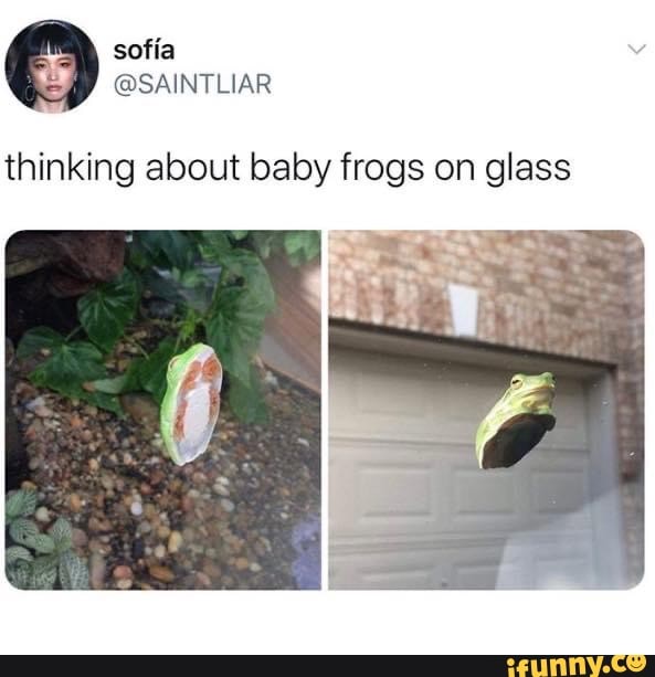 thinking about baby frogs on glass