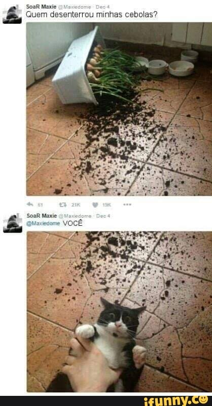 SosR Maxie Quem desenterrou minhas cebolas?