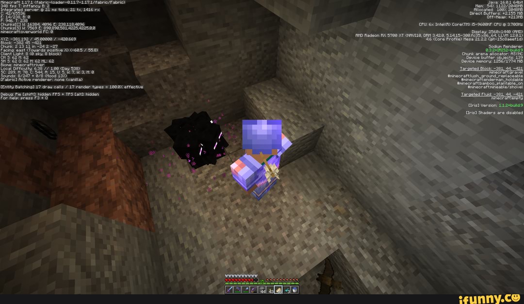 Minecraft 117 1 Java 16 6 1 64bit 348 Fps T Inffancy B Mem 54 Integrated Server