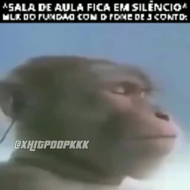 Piseiro Memes Best Collection Of Funny Piseiro Pictures On Ifunny Brazil