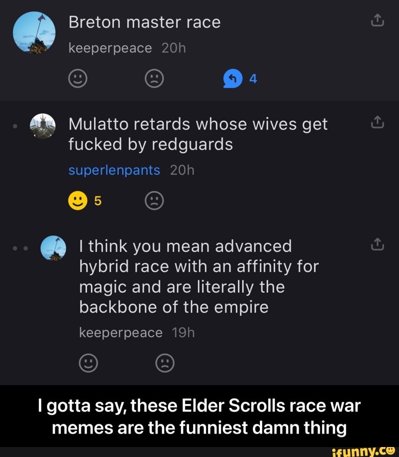 Breton master race keeperpeace
4
Mulatto retards whose wives get fucked by redguards
superlenpants
think you mean advanced hybrid race with an affinity for magic and are literally the backbone of the empire
keeperpeace
I gotta say, these Elder Scrolls race war memes are the funniest damn thing - I gotta say, these Elder Scrolls race war memes are the funniest damn thing