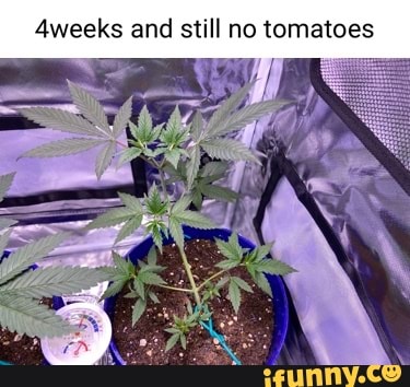 04383de9f0d78c0af0d1022d5a2778ffd44006cd77607dfc5bdfcc4fd41b51f1_1.jpg