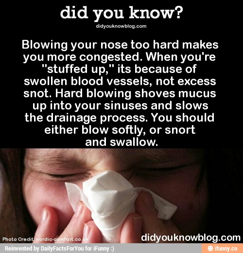 Can Blowing Your Nose Too Hard Cause Brain Damage