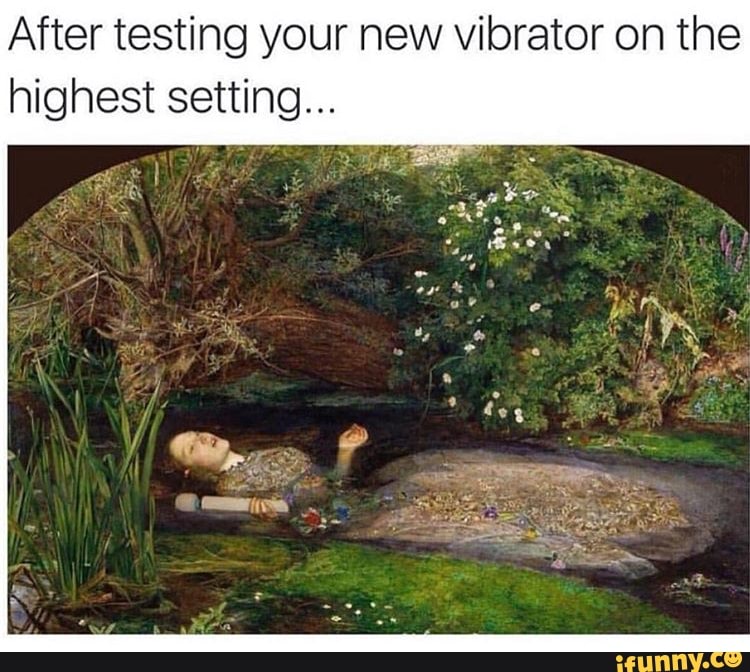 After testing your new vibrator on the highest setting...