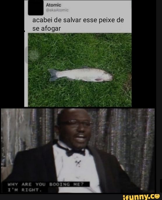acabei de salvar esse peixe de se afogar