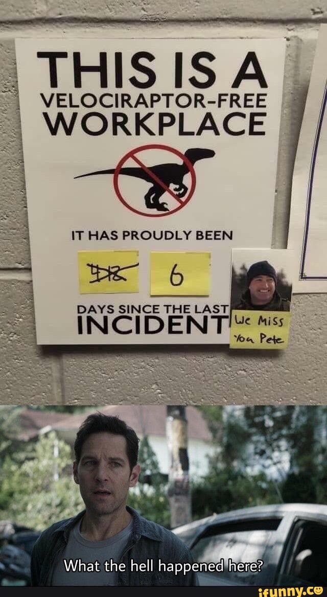 This Is A Velociraptor Free Workplace It Has Proudly Been What The Hell Happened Hehe Ifunny