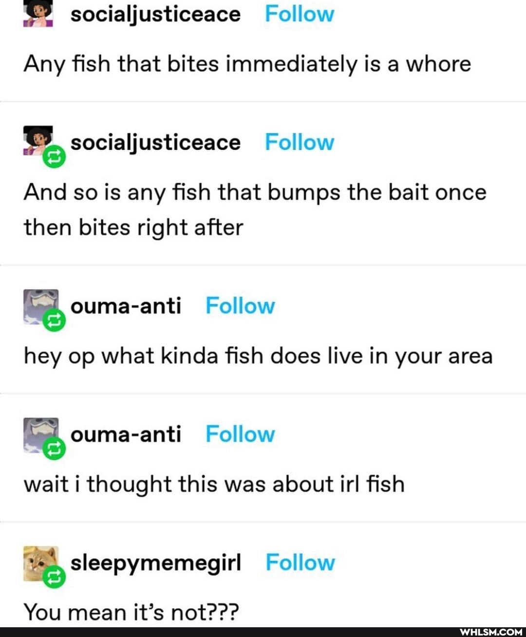 Any fish that bites immediately is a whore
Follow
And so is any fish that bumps the bait once then bites right after
hey op what kinda fish does live in your area
wait i thought this was about irl fish
Follow
Yoi; mean it'e OD