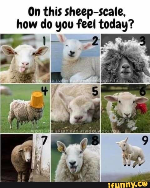 On This Sheep Scale How Do You Feel Today