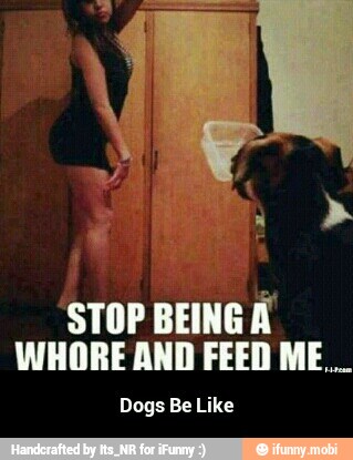 STOP
BEING À
WHORE AND FEED ME.
Dogs Be Like - Dogs Be Like