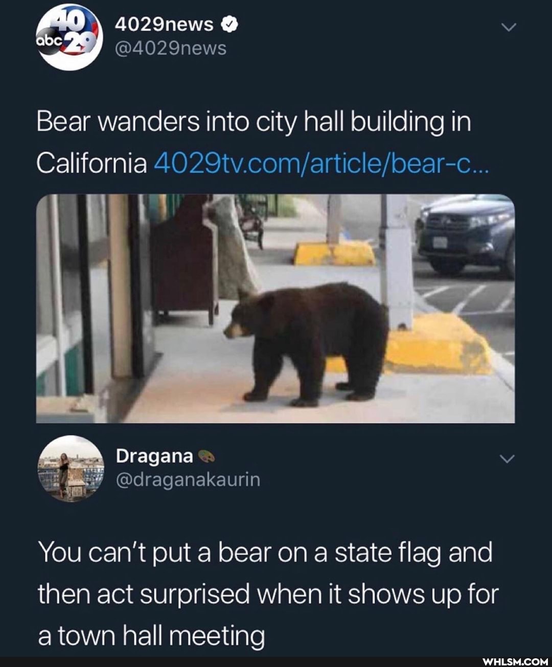 fin 4029news
Bear wanders into city hall building in
California
You can't put a bear on a state flag and then act surprised when it shows up for town hall meetina