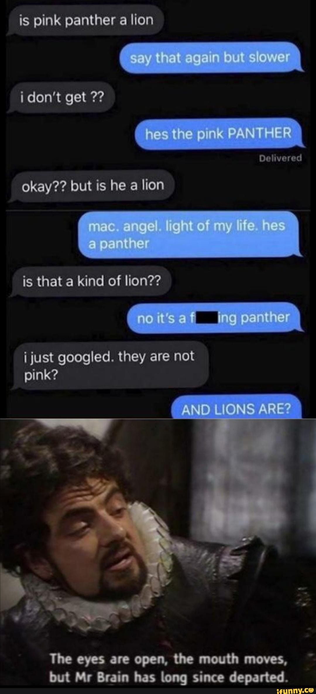 is pink panther a lion
i don't get
Delivered
okay?? but is he a lion
is that a kind of lion??
i just googled. they are not pink?
AND ON
The eyes are open, the mouth moves, but Mr Brain has long since departed.
