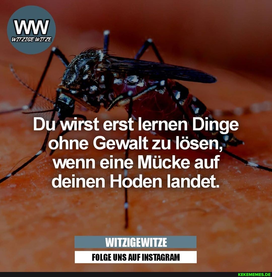 WITZIGE WITZE
Du wirst erst lernen Dinge ohne Gewalt zu lösen, wenn eine Mücke auf deinen Hoden landet.
WITZIGEWITZE