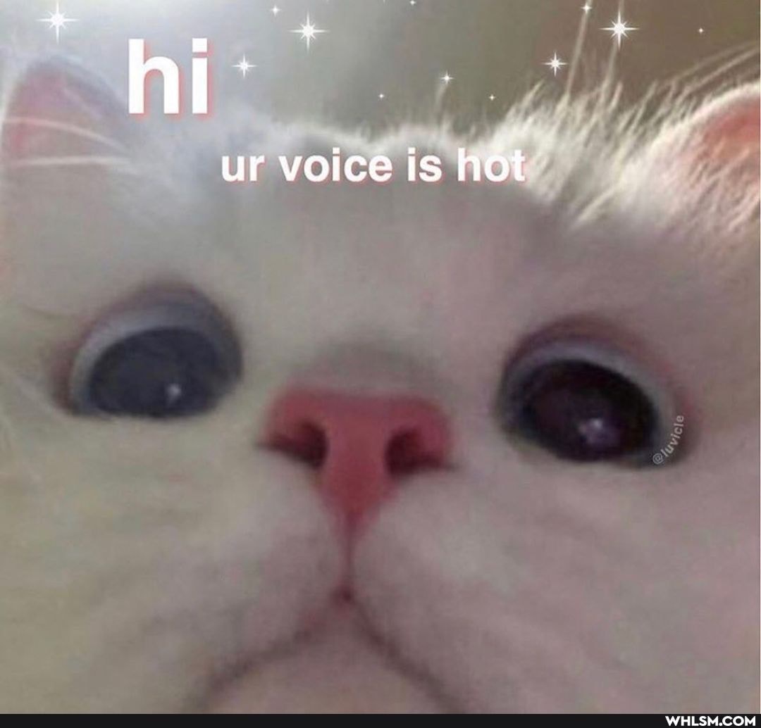 hi
ur voice is hot