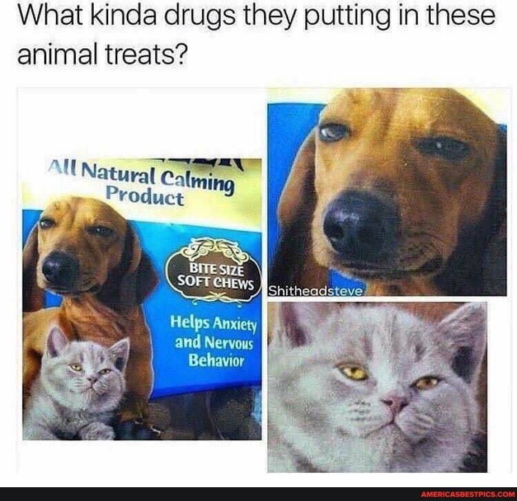 What kinda drugs they putting in these animal treats?
All
roduct
itheadsteve
Helps Anxiety and Nervous
Behavior