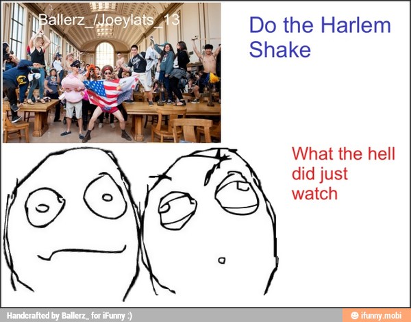 Do the Harlem
Shake
What the hell
did just
watch
