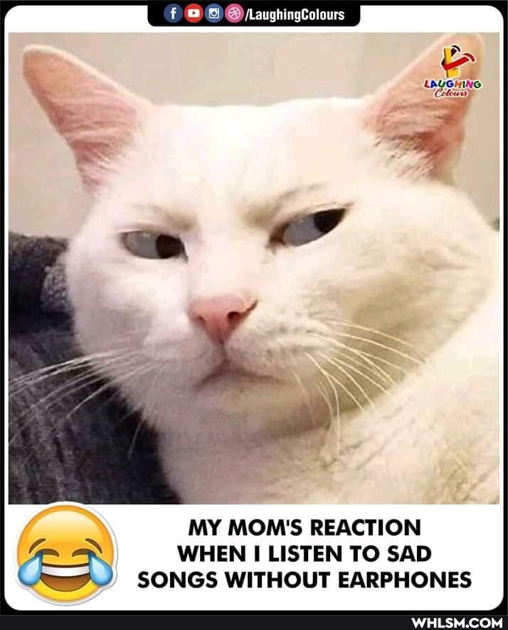 paughingColours
LAYGHING
MY MOM'S REACTION WHEN I LISTEN TO SAD SONGS WITHOUT EARPHONES
